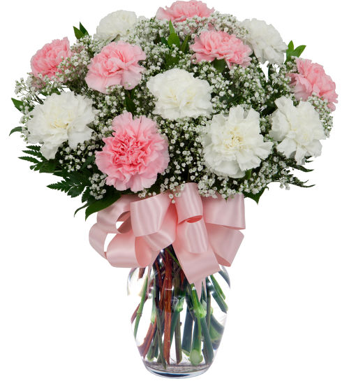 12 Pink & White Carnations #MA28AA • Canada Flowers
