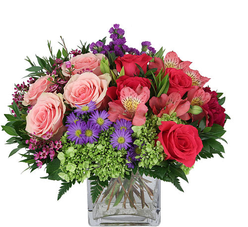 Bloom Into Spring Canada Flowers | Blooming Into Spring #MD89AA