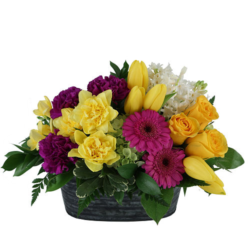premium flowers