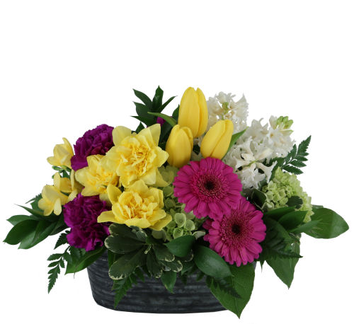 standard flowers