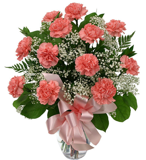 Pink Carnations