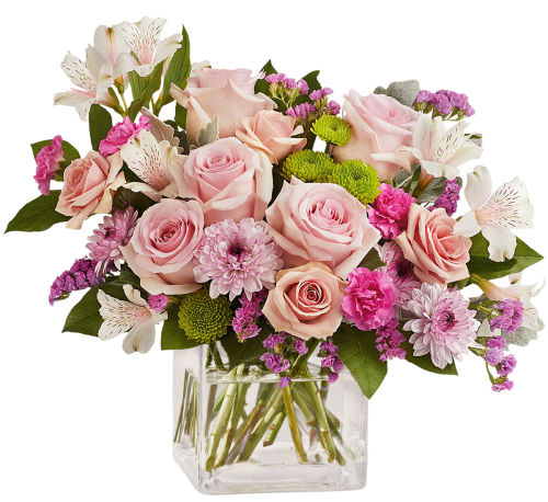premium flowers