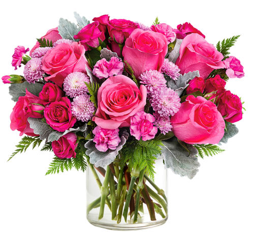 premium flowers