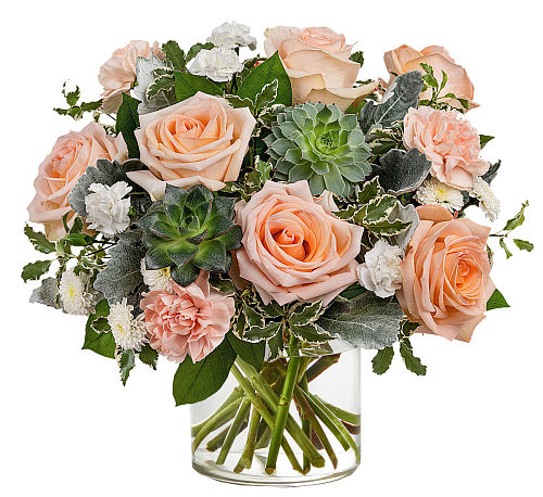 premium flowers