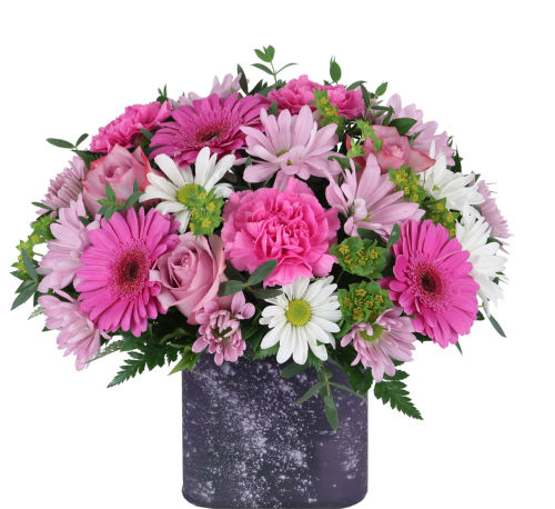 premium flowers
