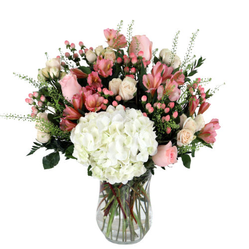 premium flowers