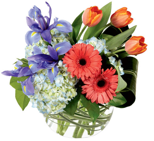 premium flowers