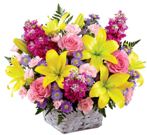premium flowers
