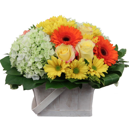 Country Fields Basket