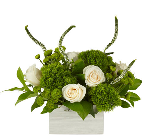 premium flowers