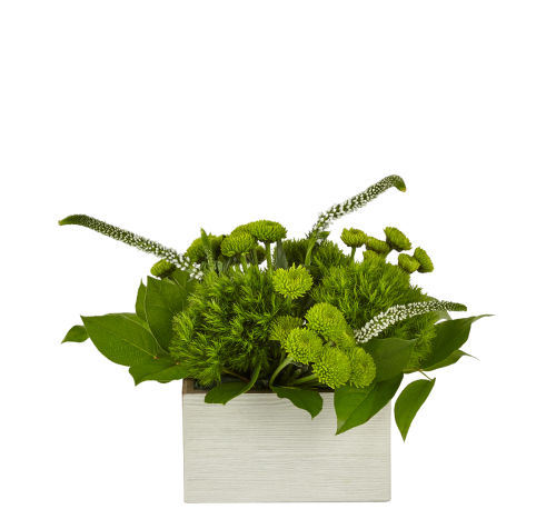 standard flowers
