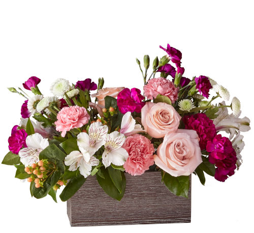 premium flowers