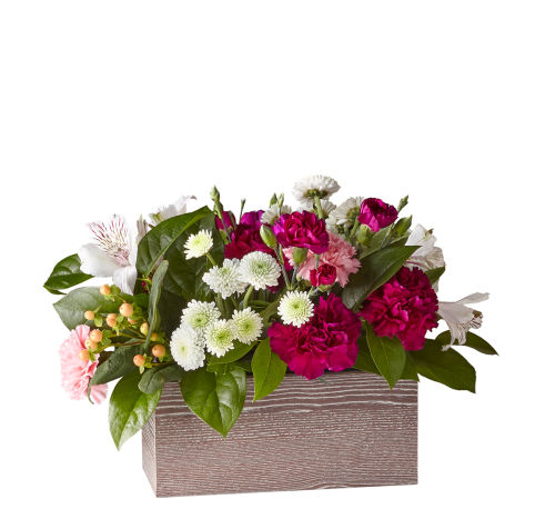 standard flowers