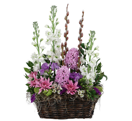 Joyful Spring