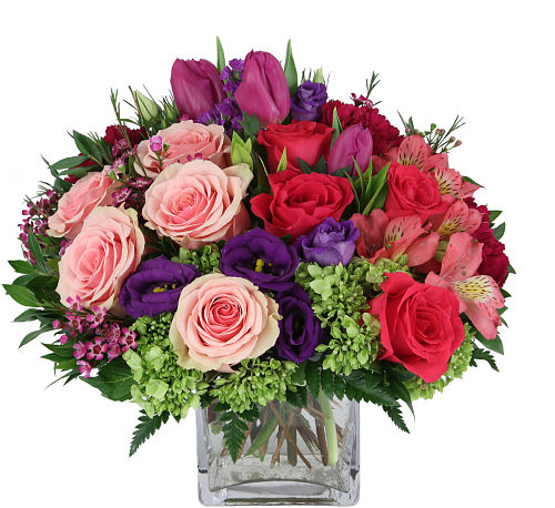 premium flowers