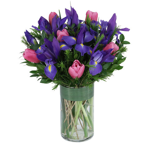 Purple Irises & Pink Tulips