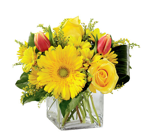 standard flowers