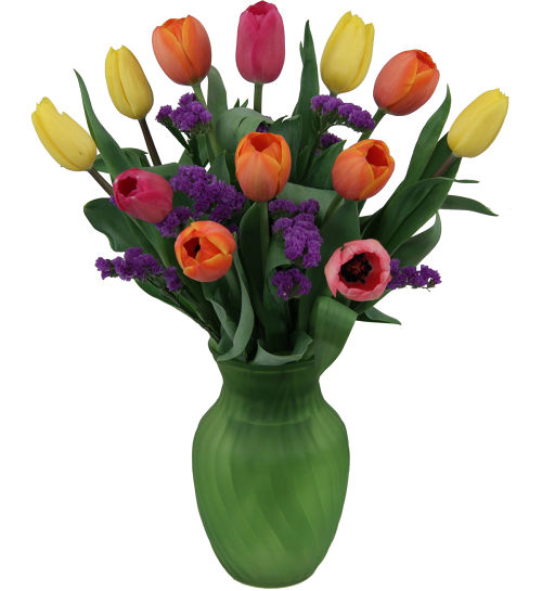 Spring Tulips
