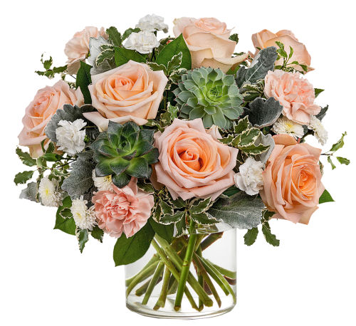 premium flowers