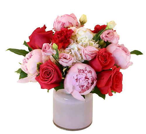 premium flowers