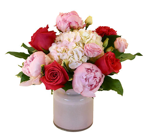 Blushing Romance