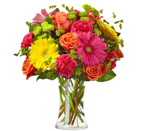 premium flowers