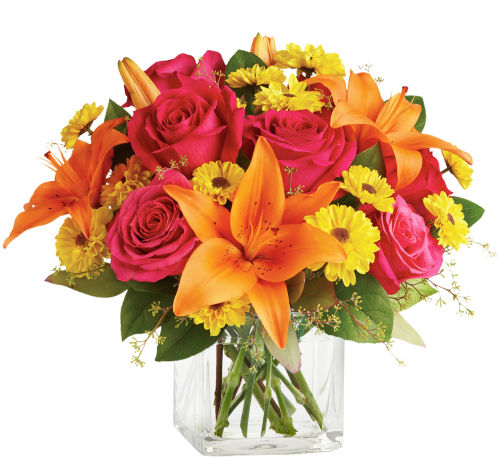 premium flowers