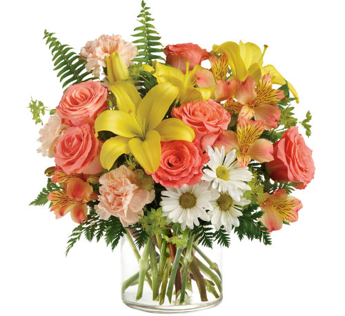 premium flowers