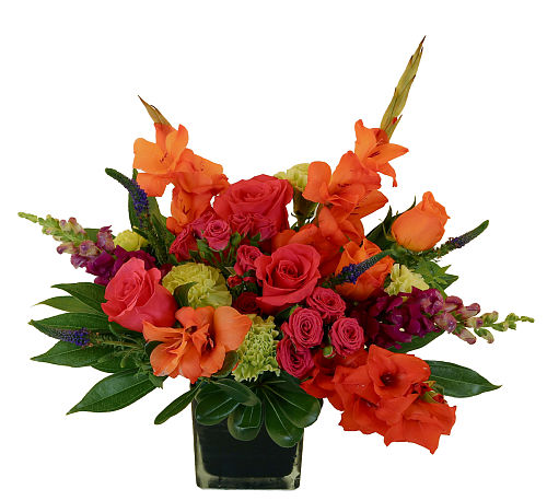 premium flowers