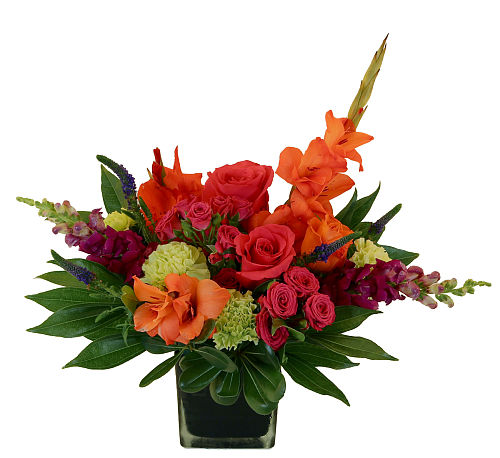 Tropical Tango