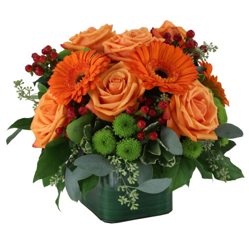 premium flowers