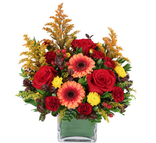 premium flowers