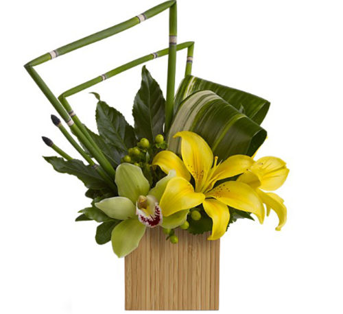 Teleflora's Bamboo Zen