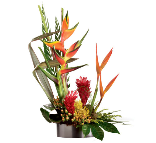 FTD® Island Breeze Arrangement