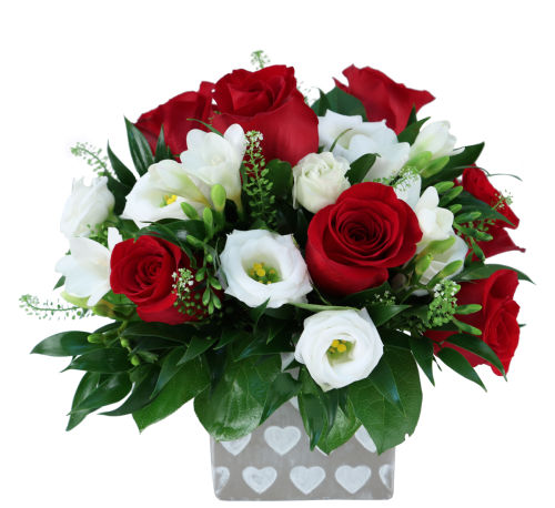 premium flowers