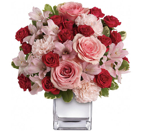 premium flowers