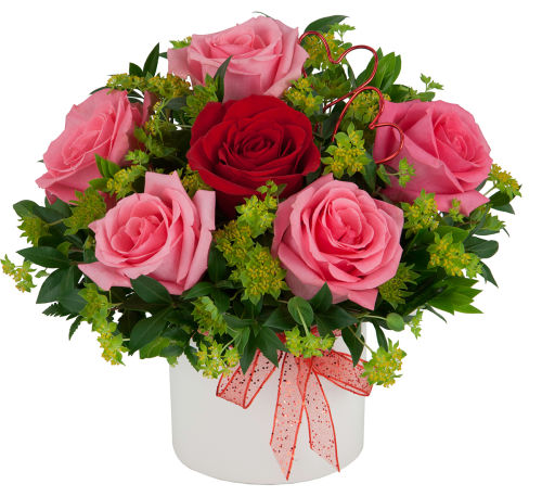 My Darling Roses
