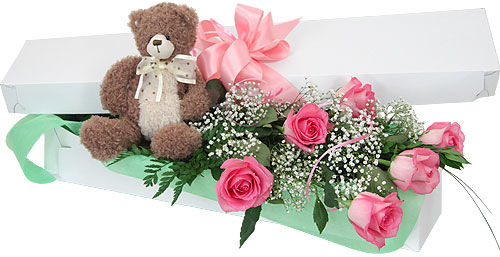 Pink Roses & Teddy Bear