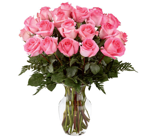 premium flowers