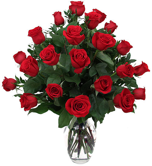 Two Dozen Red Roses