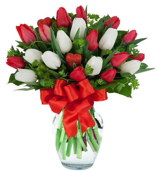 Valentine's Tulips