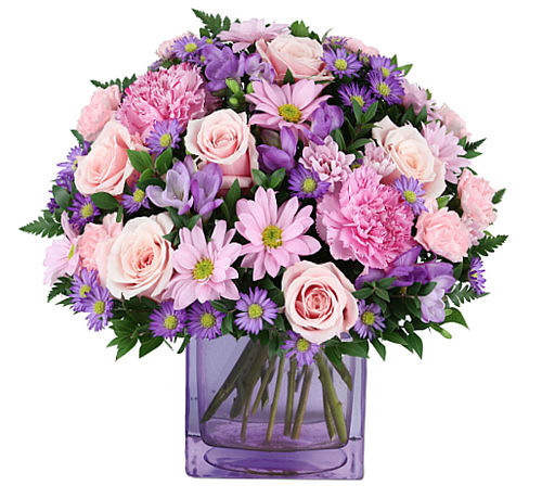 premium flowers
