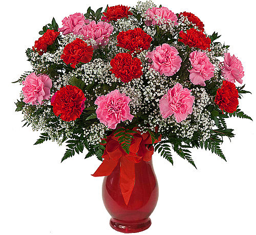 Valentine's Carnations