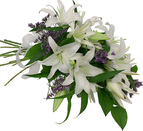White Lilies