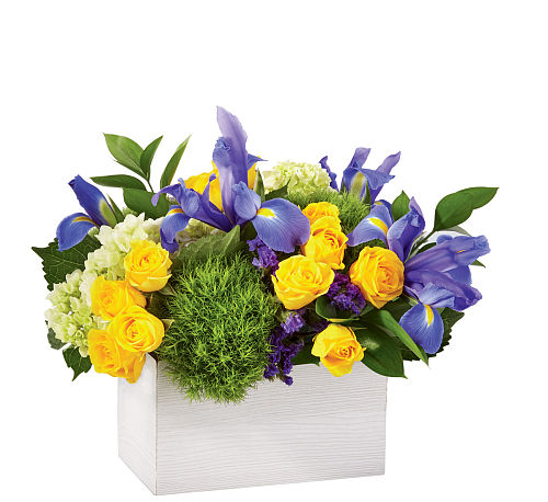 FTD® Fields of Iris Bouquet