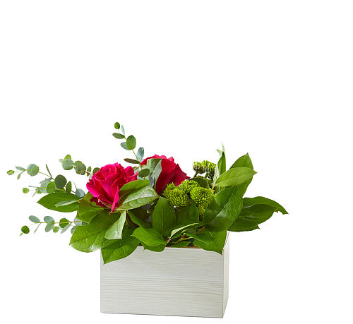 standard flowers