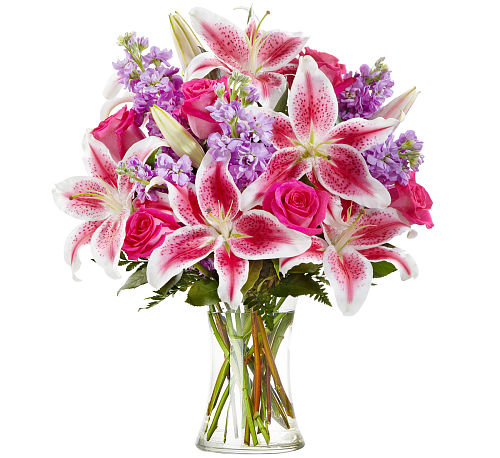 premium flowers