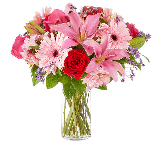 premium flowers