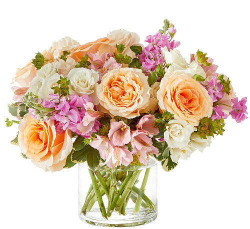 premium flowers