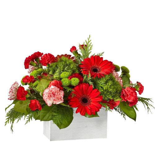 premium flowers